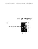 Methods and Compositions for DNA Manipulation diagram and image