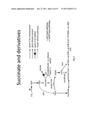 ENGINEERED CO2 FIXING MICROORGANISMS PRODUCING CARBON-BASED PRODUCTS OF     INTEREST diagram and image