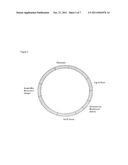 PRODUCTION OF R-a-LIPOIC ACID BY FERMENTATION USING GENETICALLY ENGINEERED     MICROORGANISMS diagram and image