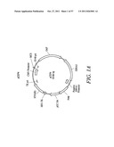 Compositions and Methods for Engineering Cells diagram and image