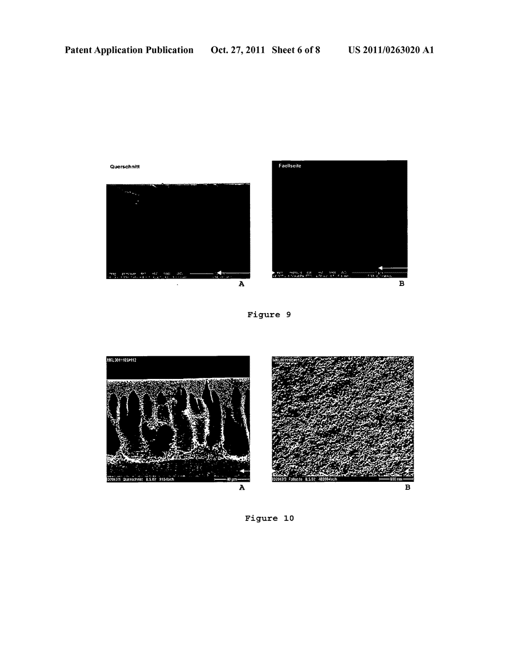 MEMBRANE FOR CELL EXPANSION - diagram, schematic, and image 07