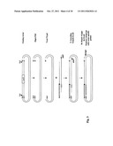 PROCESS OF CLEAN CLONING diagram and image