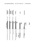 PROCESS OF CLEAN CLONING diagram and image