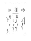 PROCESS OF CLEAN CLONING diagram and image