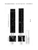 PROCESS OF CLEAN CLONING diagram and image