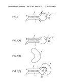 Construction of Protein-Responsive shRNA/RNAi Control System Using RNP     Motif diagram and image