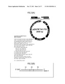 Construction of Protein-Responsive shRNA/RNAi Control System Using RNP     Motif diagram and image