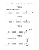 Construction of Protein-Responsive shRNA/RNAi Control System Using RNP     Motif diagram and image