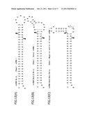 Construction of Protein-Responsive shRNA/RNAi Control System Using RNP     Motif diagram and image