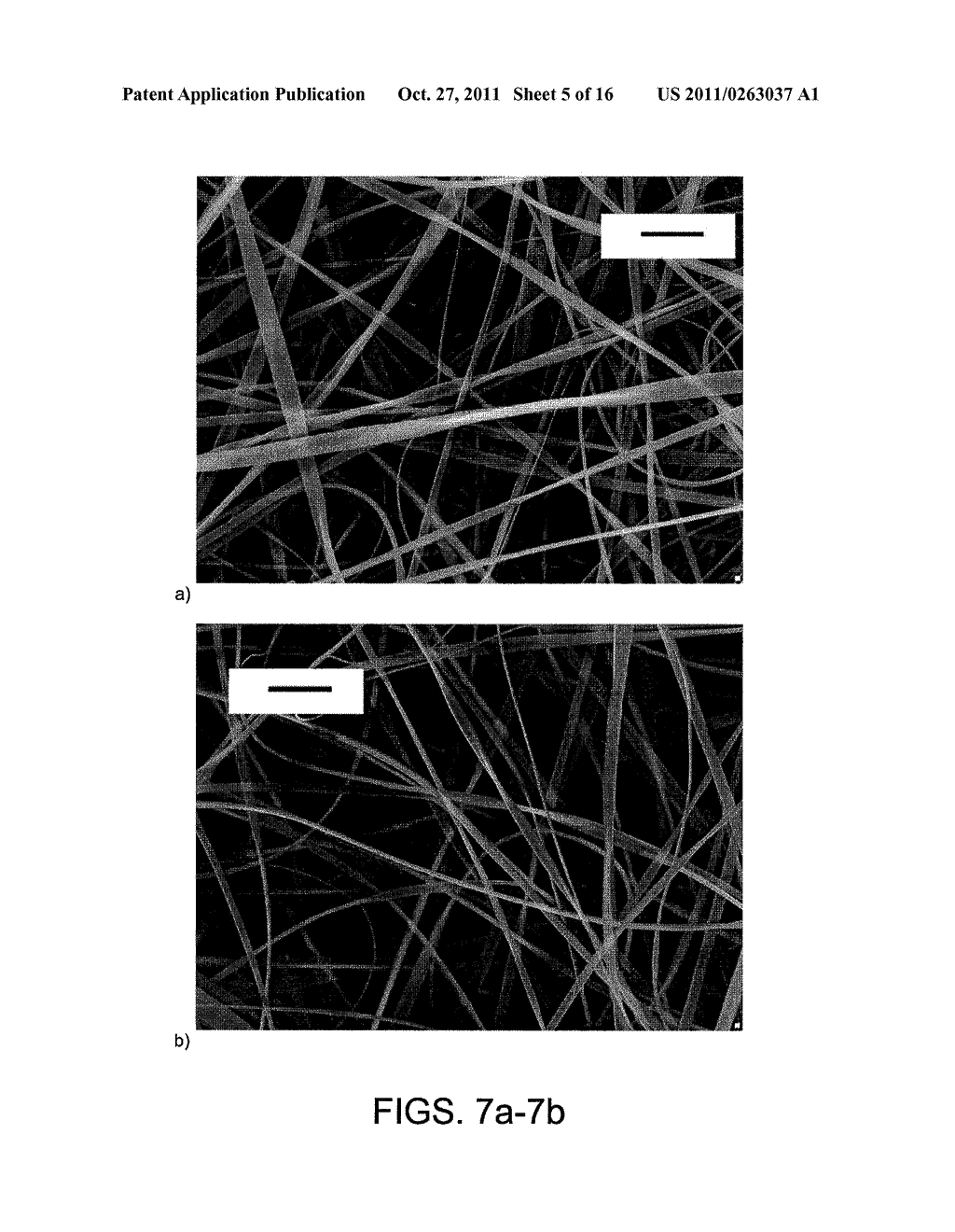 POLYMERIC MATERIALS INCORPORATING CORE-SHELL SILICA NANOPARTICLES - diagram, schematic, and image 06