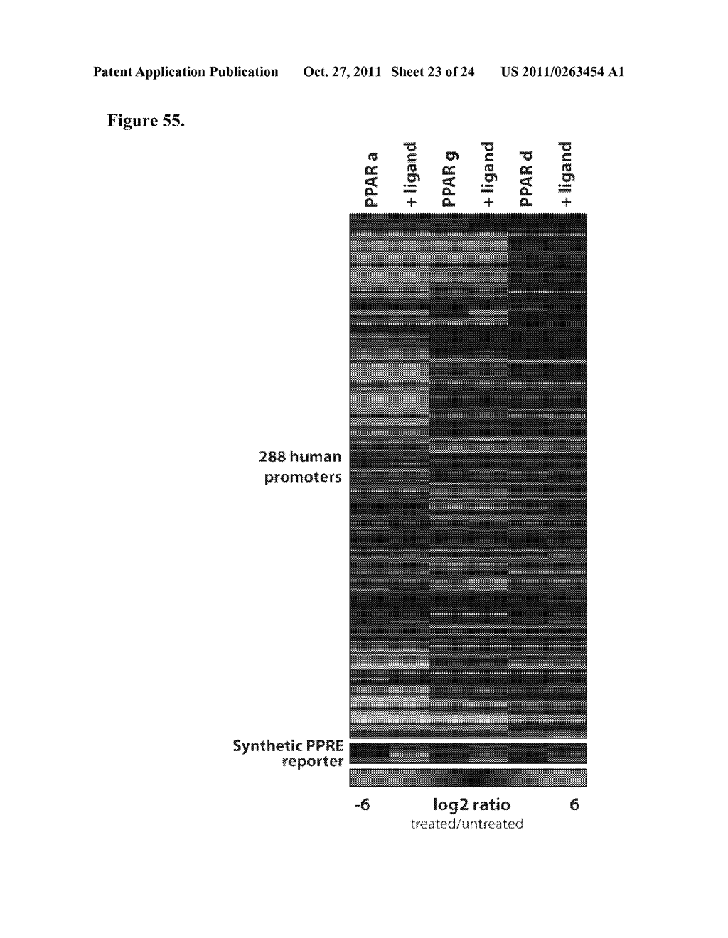 Methods of Identifying Functional Characteristics of Promoters,     Transcription Modifying Proteins and Transcription Modulating Agents - diagram, schematic, and image 24