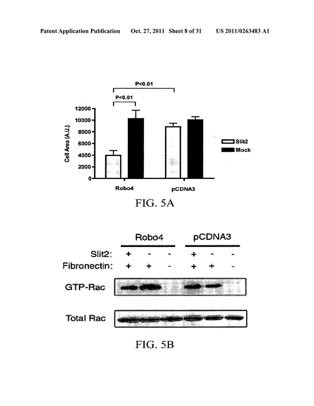 COMPOSITIONS AND METHODS FOR TREATING PATHOLOGIC ANGIOGENESIS AND VASCULAR     PERMEABILITY - diagram, schematic, and image 09