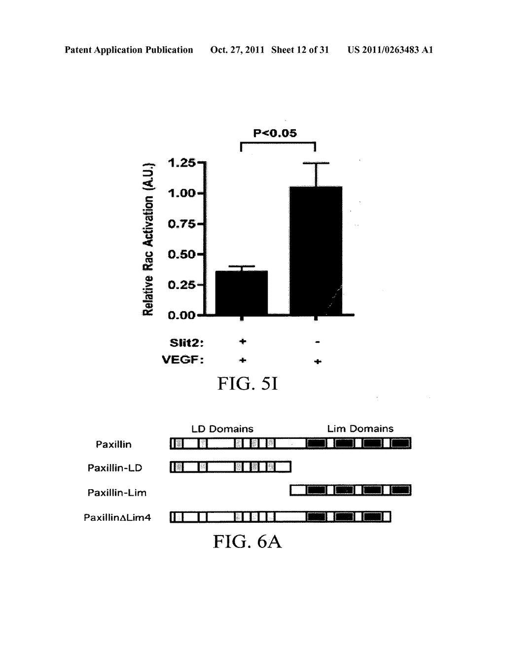 COMPOSITIONS AND METHODS FOR TREATING PATHOLOGIC ANGIOGENESIS AND VASCULAR     PERMEABILITY - diagram, schematic, and image 13