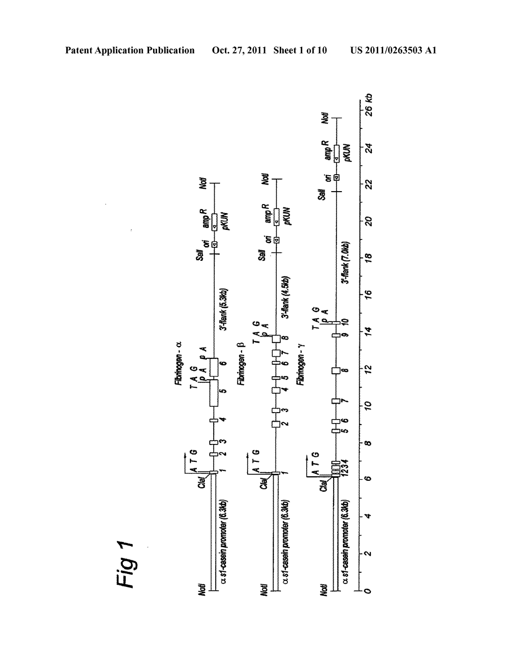 TREATMENT OF BLEEDING WITH LOW HALF-LIFE FIBRINOGEN - diagram, schematic, and image 02