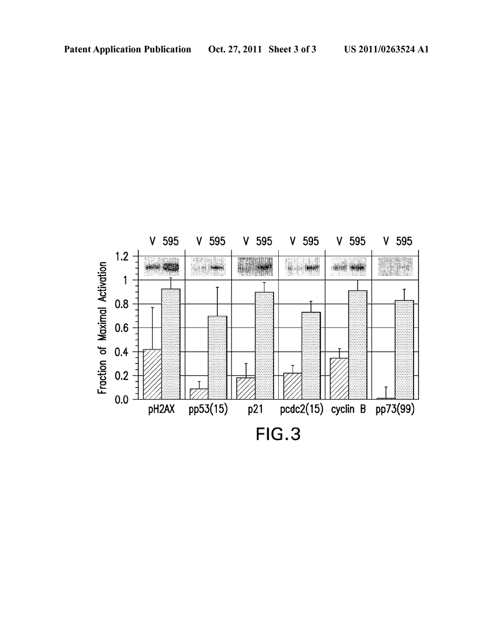 SNS-595 AND METHODS OF USING THE SAME - diagram, schematic, and image 04