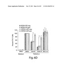 HALOFUGINONE ANALOGS FOR INHIBITION OF TRNA SYNTHETASES AND USES THEREOF diagram and image