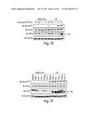 HALOFUGINONE ANALOGS FOR INHIBITION OF TRNA SYNTHETASES AND USES THEREOF diagram and image