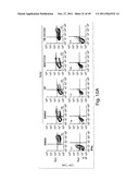 HALOFUGINONE ANALOGS FOR INHIBITION OF TRNA SYNTHETASES AND USES THEREOF diagram and image