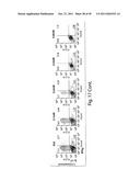 HALOFUGINONE ANALOGS FOR INHIBITION OF TRNA SYNTHETASES AND USES THEREOF diagram and image