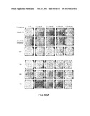 LOWER DOSAGE STRENGTH PHARMACEUTICAL COMPOSITIONS FORMULATED WITH 2.5%     IMIQUIMOD diagram and image