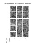 LOWER DOSAGE STRENGTH PHARMACEUTICAL COMPOSITIONS FORMULATED WITH 2.5%     IMIQUIMOD diagram and image