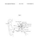 Treatment and/or Prevention of Inner Ear Conditions by Modulation of a     Metabotropic Glutamate Receptor diagram and image