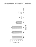 SMALL INTERFERING RNA FOR GENE KNOCKDOWN OF THE SUBCUTANEOUS     N-METHYL-D-ASPARTATE RECEPTOR NR1 SUBUNIT, AND IT S APPLICATION ON     PHARMACEUTICS diagram and image