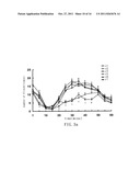 SMALL INTERFERING RNA FOR GENE KNOCKDOWN OF THE SUBCUTANEOUS     N-METHYL-D-ASPARTATE RECEPTOR NR1 SUBUNIT, AND IT S APPLICATION ON     PHARMACEUTICS diagram and image