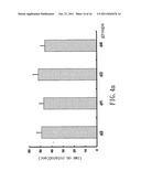 SMALL INTERFERING RNA FOR GENE KNOCKDOWN OF THE SUBCUTANEOUS     N-METHYL-D-ASPARTATE RECEPTOR NR1 SUBUNIT, AND IT S APPLICATION ON     PHARMACEUTICS diagram and image