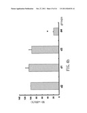 SMALL INTERFERING RNA FOR GENE KNOCKDOWN OF THE SUBCUTANEOUS     N-METHYL-D-ASPARTATE RECEPTOR NR1 SUBUNIT, AND IT S APPLICATION ON     PHARMACEUTICS diagram and image