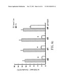 SMALL INTERFERING RNA FOR GENE KNOCKDOWN OF THE SUBCUTANEOUS     N-METHYL-D-ASPARTATE RECEPTOR NR1 SUBUNIT, AND IT S APPLICATION ON     PHARMACEUTICS diagram and image