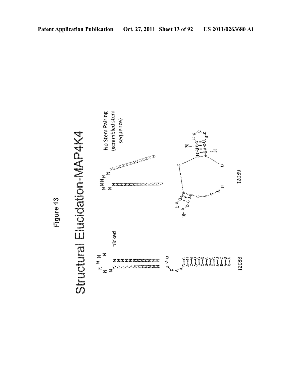 REDUCED SIZE SELF-DELIVERING RNAI COMPOUNDS - diagram, schematic, and image 14