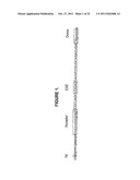 ANTISENSE OLIGONUCLEOTIDES FOR INDUCING EXON SKIPPING AND METHODS OF USE     THEREOF diagram and image