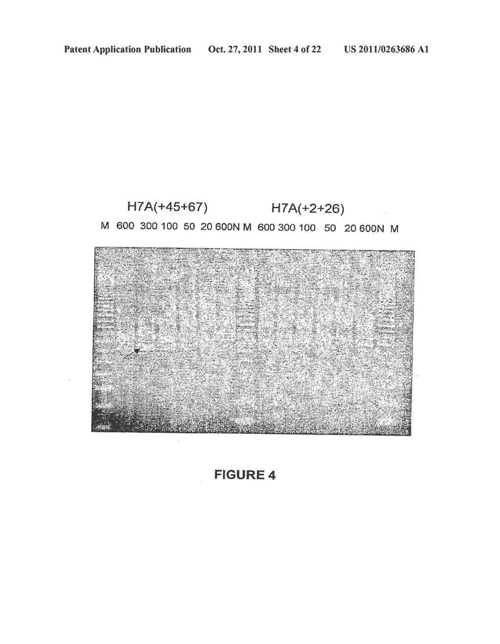 ANTISENSE OLIGONUCLEOTIDES FOR INDUCING EXON SKIPPING AND METHODS OF USE     THEREOF - diagram, schematic, and image 05