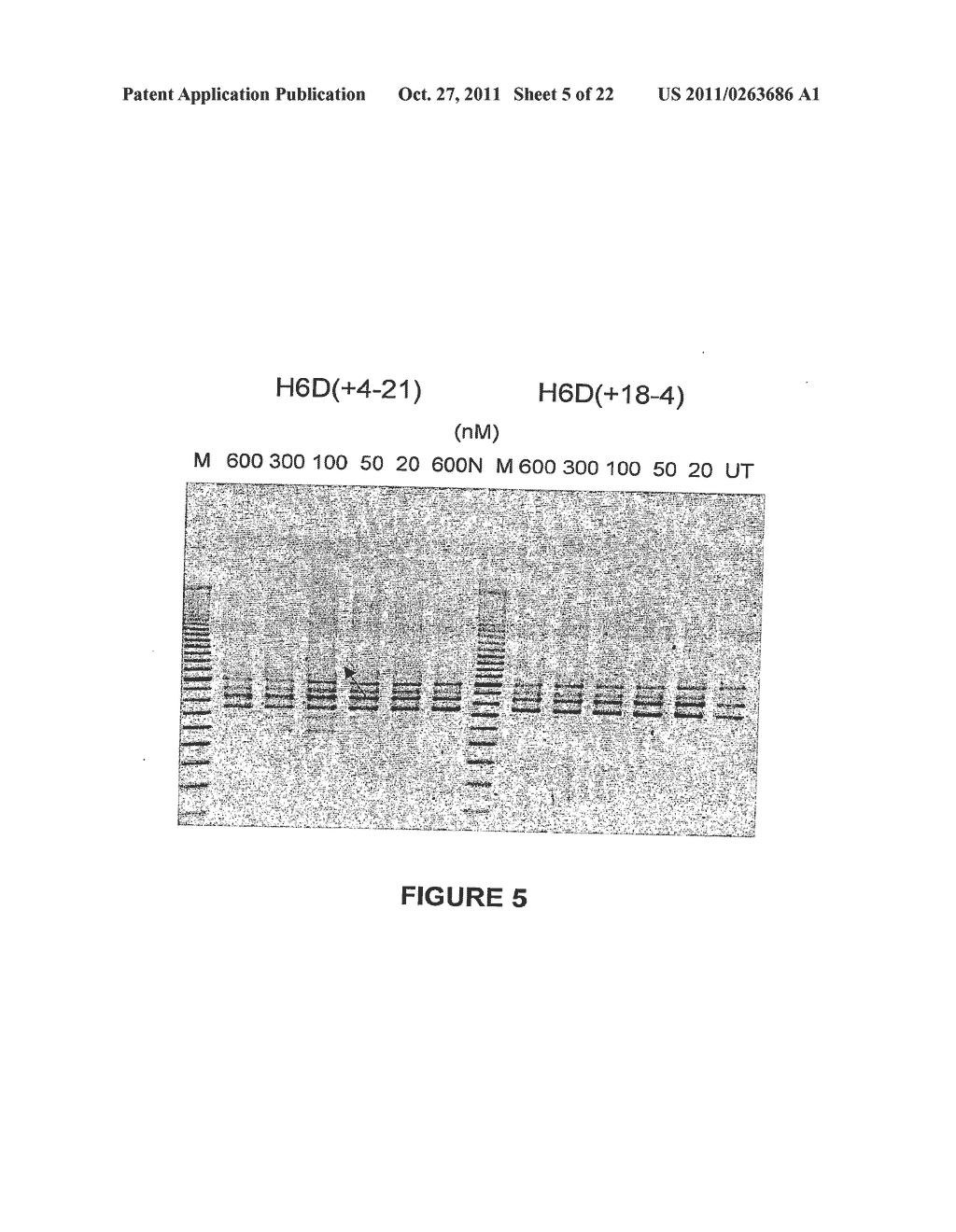 ANTISENSE OLIGONUCLEOTIDES FOR INDUCING EXON SKIPPING AND METHODS OF USE     THEREOF - diagram, schematic, and image 06