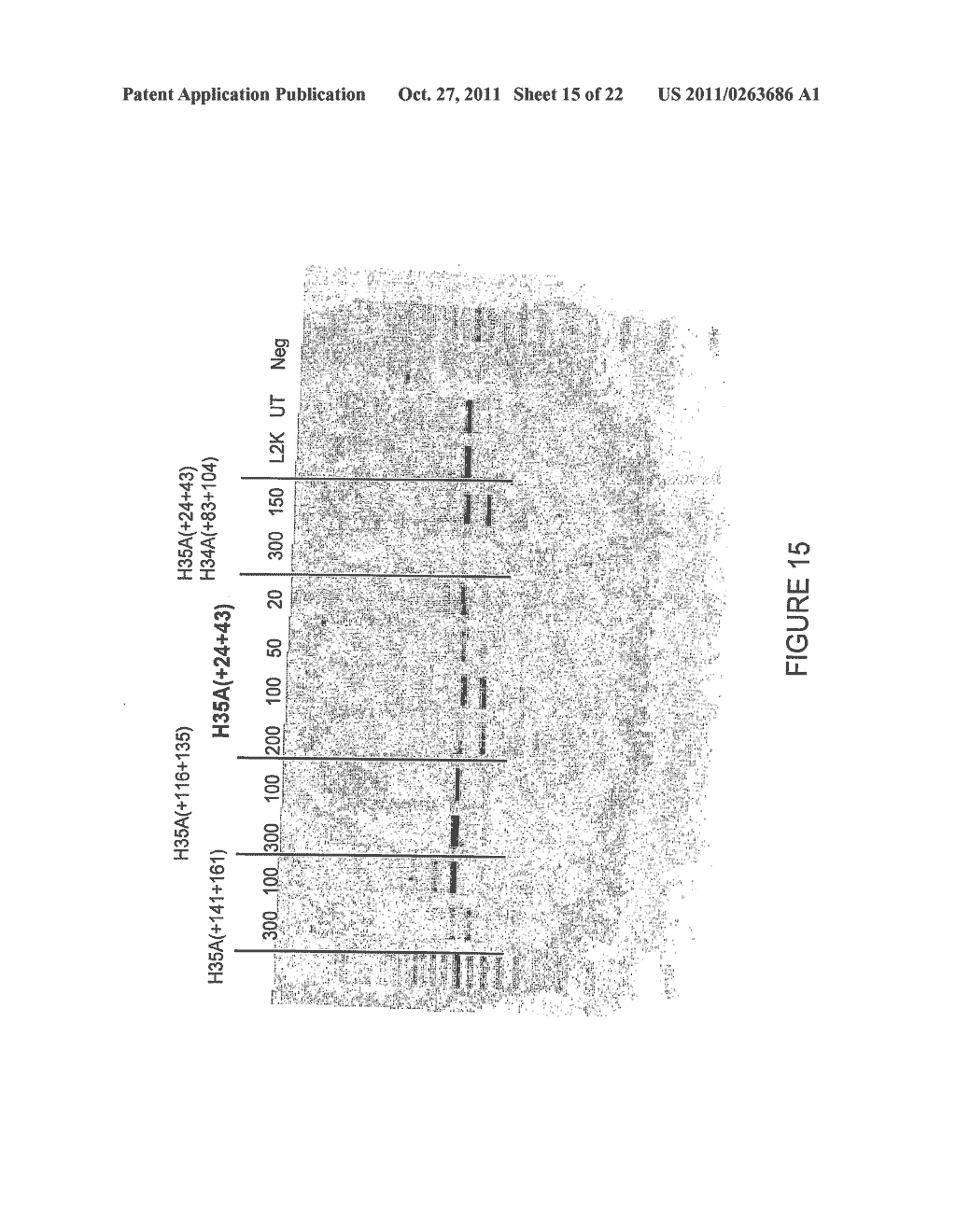 ANTISENSE OLIGONUCLEOTIDES FOR INDUCING EXON SKIPPING AND METHODS OF USE     THEREOF - diagram, schematic, and image 16