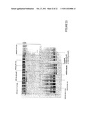 ANTISENSE OLIGONUCLEOTIDES FOR INDUCING EXON SKIPPING AND METHODS OF USE     THEREOF diagram and image