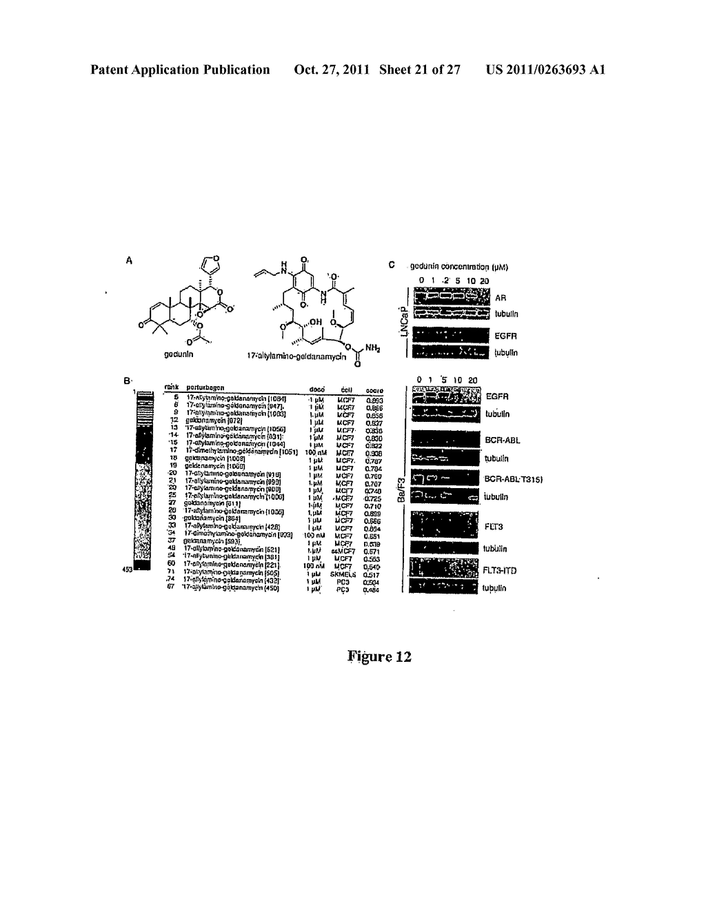 CELASTROL, GEDUNIN, AND DERIVATIVES THEREOF AS HSP90 INHIBITORS - diagram, schematic, and image 22