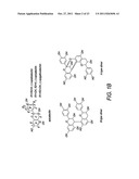 PROANTHOCYANIDINS FROM CINNAMON AND ITS WATER SOLUBLE EXTRACT INHIBIT TAU     AGGREGATION diagram and image