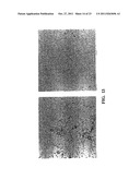 PROANTHOCYANIDINS FROM CINNAMON AND ITS WATER SOLUBLE EXTRACT INHIBIT TAU     AGGREGATION diagram and image