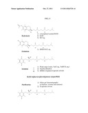 SYNTHESIS OF ALPHA-TOCOPHEROLQUINONE DERIVATIVES, AND METHODS OF USING THE     SAME diagram and image