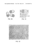 MULTIFUNCTIONAL ENCODED PARTICLES FOR HIGH-THROUGHPUT ANALYSIS diagram and image