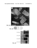 MULTIFUNCTIONAL ENCODED PARTICLES FOR HIGH-THROUGHPUT ANALYSIS diagram and image