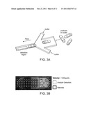 MULTIFUNCTIONAL ENCODED PARTICLES FOR HIGH-THROUGHPUT ANALYSIS diagram and image