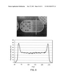 MULTIFUNCTIONAL ENCODED PARTICLES FOR HIGH-THROUGHPUT ANALYSIS diagram and image