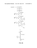 METAL-BINDING COMPOUNDS AND USES THEREFOR diagram and image