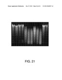 METAL-BINDING COMPOUNDS AND USES THEREFOR diagram and image