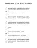 PROGNOSIS AND RISK ASSESSMENT IN STROKE PATIENTS BY DETERMINING THE LEVEL     OF MARKER PEPTIDES diagram and image