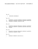 PROGNOSIS AND RISK ASSESSMENT IN STROKE PATIENTS BY DETERMINING THE LEVEL     OF MARKER PEPTIDES diagram and image