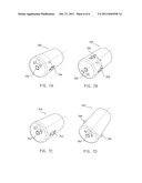 MULTI-CAMERA ENDOSCOPE diagram and image